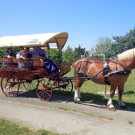 Familial 3 Chambres- La Fleche - Le Lude *